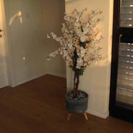 נס הבריאה Villa Midreshet Ben Gurion Bagian luar foto